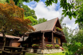 Casina di fata Mirtilla Cutigliano